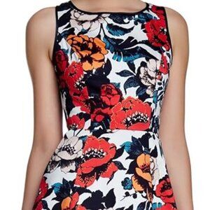 Adrianna Papell Cutaway Fit and Flare Floral